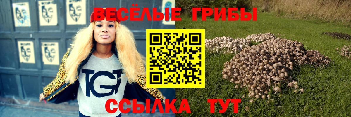 Тейково  Галлюциногенные грибы Cubensis  наркота  Псилоцибиновые грибы Cubensis  Вход с VPN 