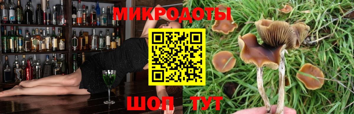 Галлюциногенные грибы мицелий Тейково